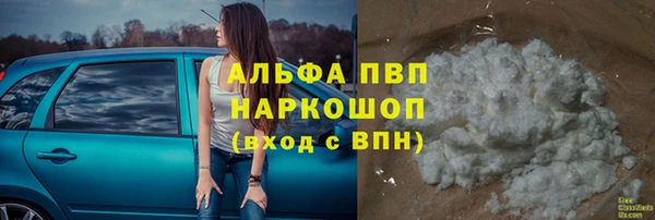 крисы Алзамай