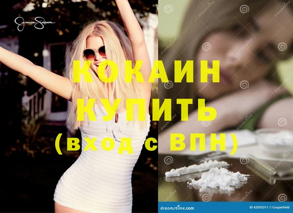 крисы Алзамай