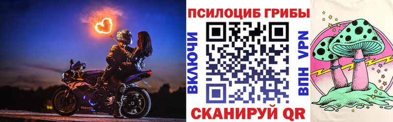 мега ссылки Пучеж Галлюциногенные грибы прущие грибы